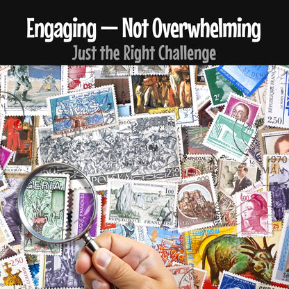 Lost And Found: Hidden Object Book for Adults